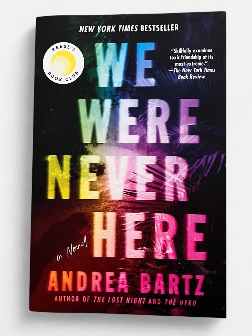 We Were Never Here by Andrea Bartz